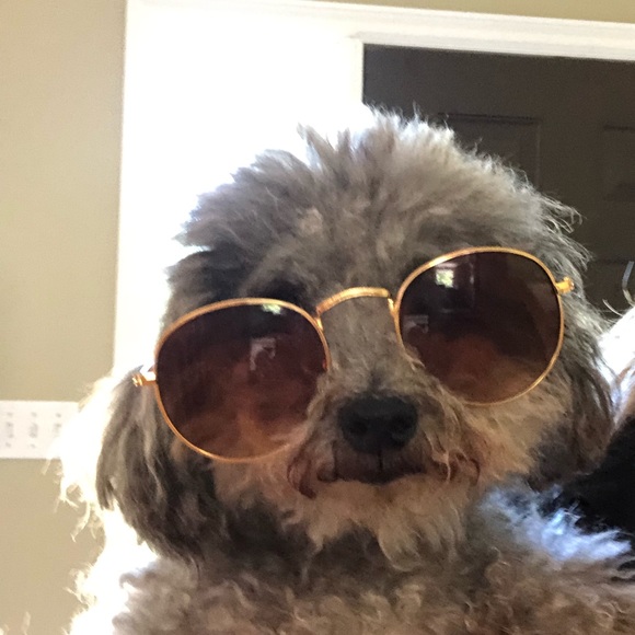 Meet your Posher, Celeste - Picture 1 of 1